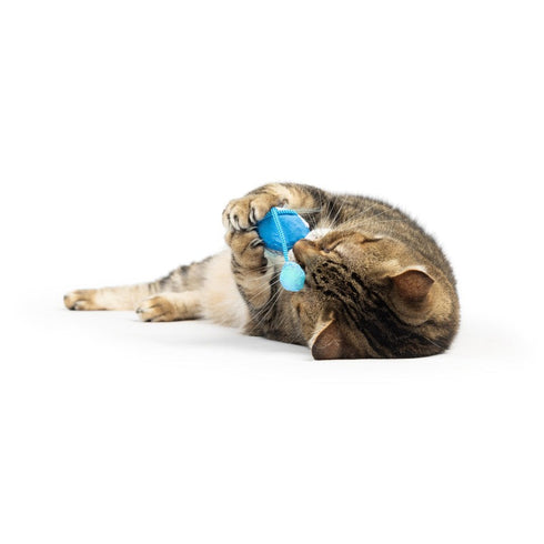 Huxley & Kent Blue Bird Chirpy Cat Toy - Poudre Pet & Feed Supply 3